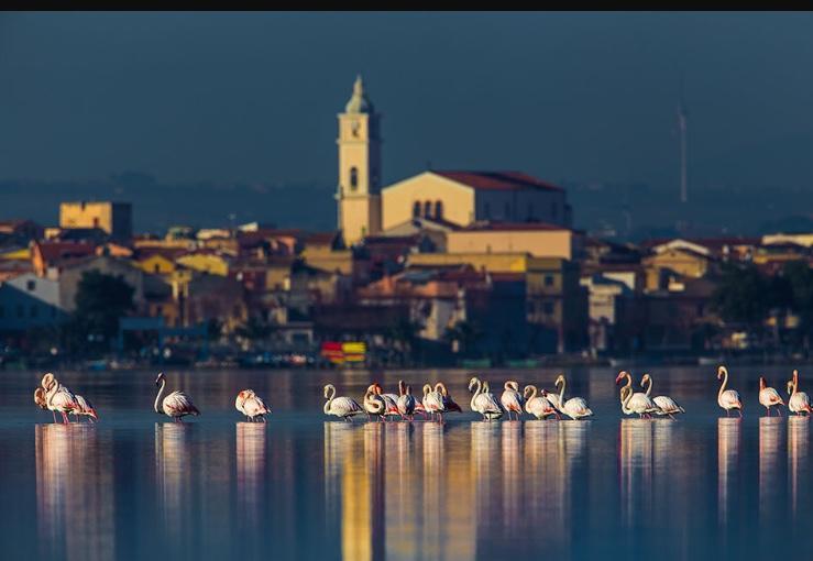 Casale Villa Giulia Marina Di Lesina Dış mekan fotoğraf