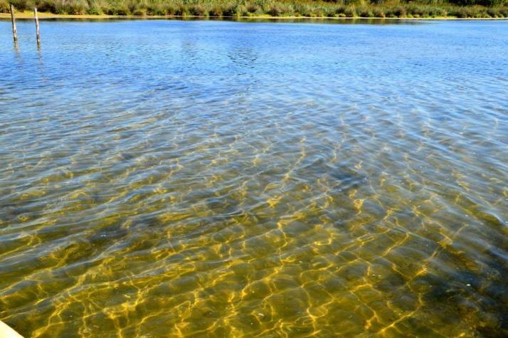 Casale Villa Giulia Marina Di Lesina Dış mekan fotoğraf